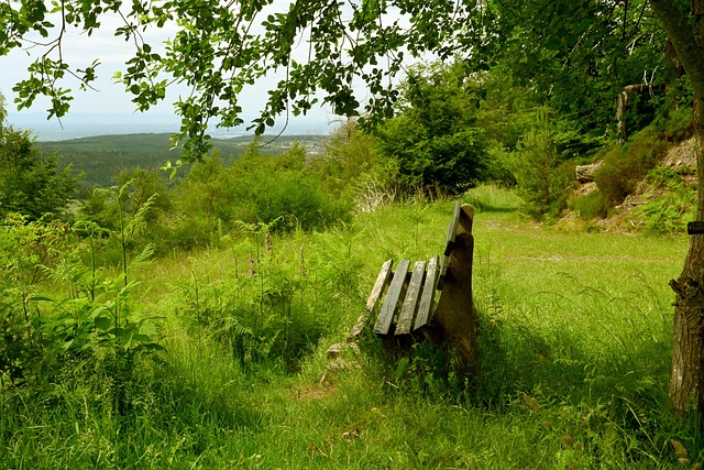 姿态亮相 姿态亮相