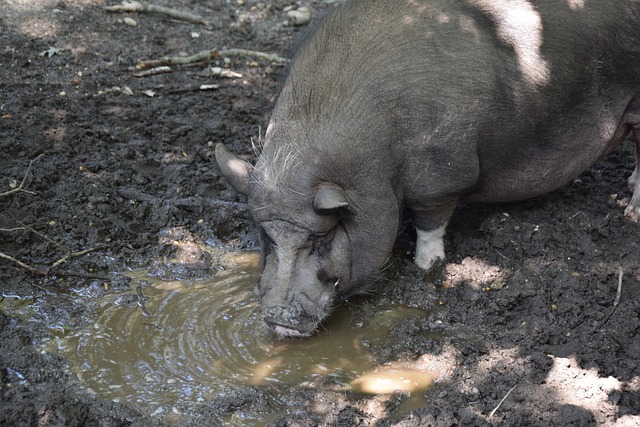 在短时间内 在短时间内
