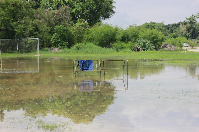 贡献力量 贡献力量