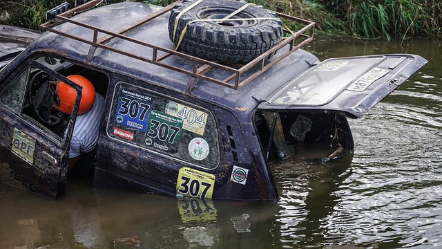 步行者的后 步行者的后