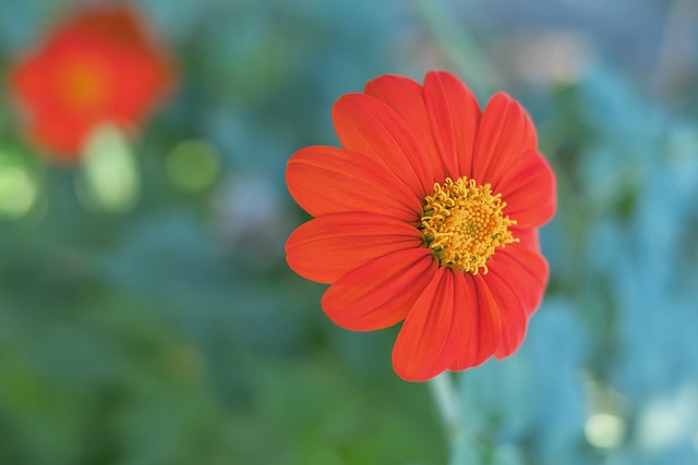 樹立了良好 樹立了良好