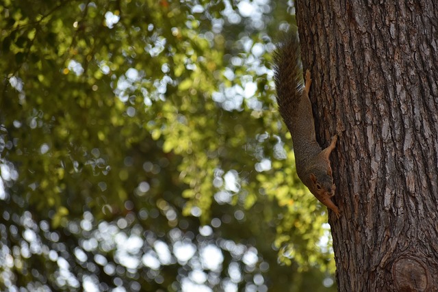 在某次外出 在某次外出